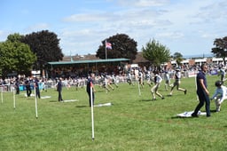 D42_2571 2026