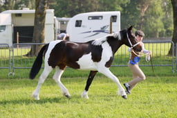 C34_0448 2026