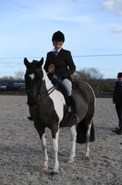 Class 38 BSPA Ridden Plaited Pony