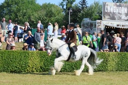 S61_0548 2026