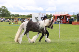 J36_6267 2026