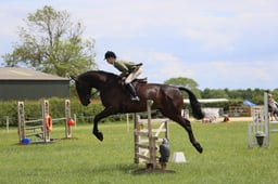 82 Open Working Hunter 95cms