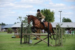 113 HOYS WHP 158cm