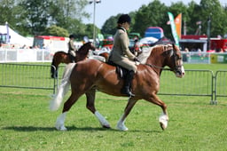 H33_4261 2026