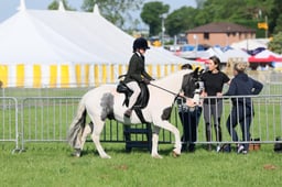 C33_0409 2026