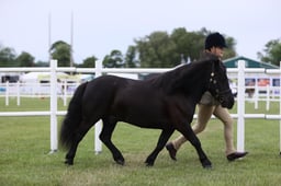 E44_0304 2026