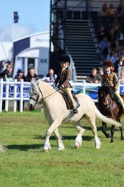 C46_3151 2026