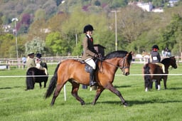 C19_0440 2026
