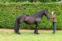 F45_0098 2026