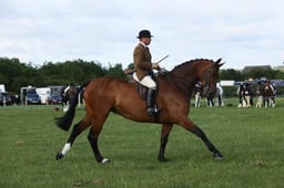 E36_0447 2026