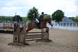 07C 143cm Working Hunter Pony