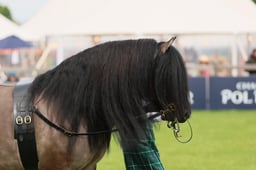 S29_0477 2026