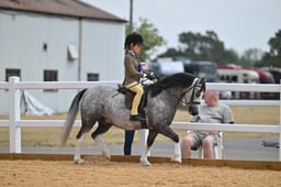 A65_1408 2026