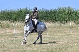 S60_0536 2026