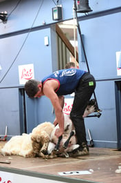 Shearing