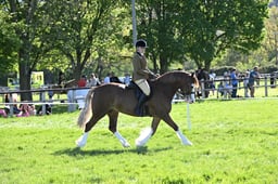 S19_8657 2026