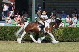 S61_0662 2026
