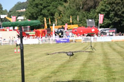 N68_5598 2026