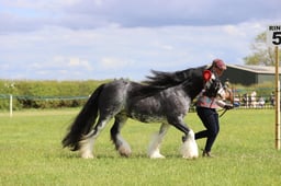 J36_7559 2026