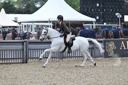 A30_2099 2026