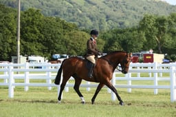 E42_0028 2026