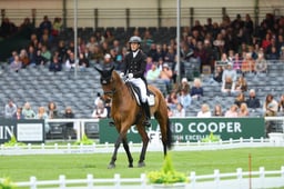 C22_8339 2026