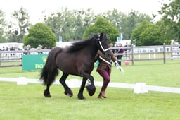 W29_0888 2026