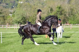 C19_0473 2026