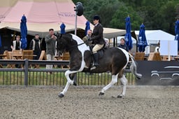 A29_0678 2026