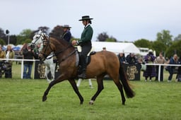 E30_5102 2026