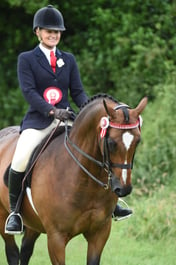 Performance Pony Championships