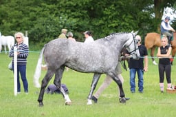 J36_6925 2026
