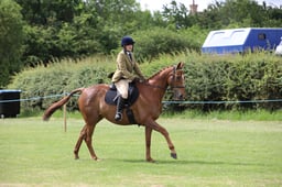 W36_0708 2026
