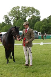 W29_0538 2026