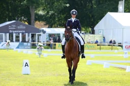 B38_1104 2026