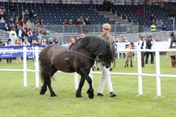 M44_0167 2026