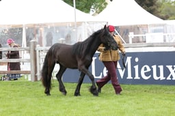 W29_0850 2026
