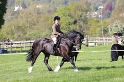 C19_0414 2026