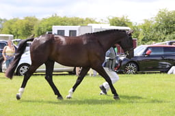 J36_6871 2026