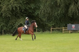 S40_9484 2026