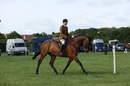E36_0387 2026