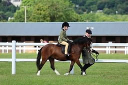 Z41_0367 2026