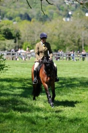 M19_0479 2026