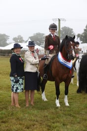 36-35 HOYS Ridden Championship