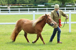 Z41_0673 2026