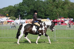 C34_0470 2026
