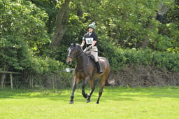 16 HUGO HUNTING