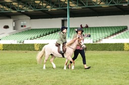 Equine Rescue Ridden