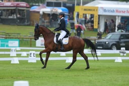 141 BRYJAMOLGA VH MARIENSHOF Z