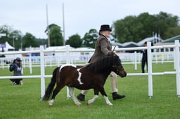 H44_8113 2026